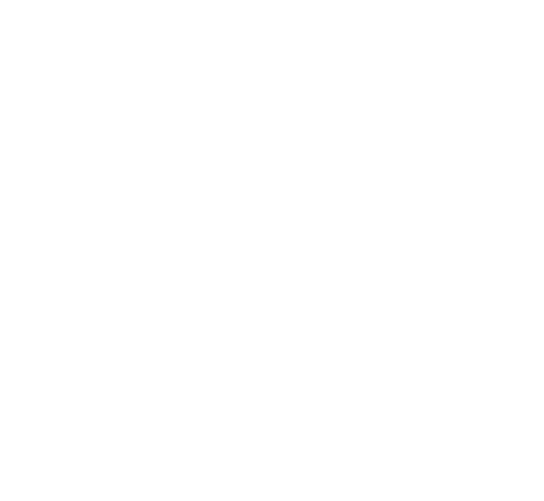 dummy church logo - white